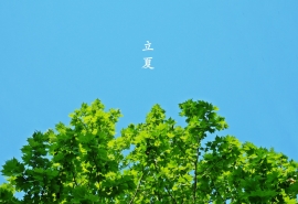 描写夏天花朵的句子(夏天描写花的句子)