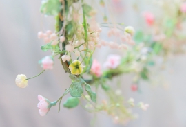 雪花给造句(雪花怎样造句)