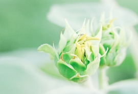 绣花虽好不闻香上一句是什么意思(画水无风空作浪 绣花虽好不闻香 什么意思 有比喻意义吗)