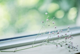 半城烟雨半城湖的上一句(“半城烟雨半城殇”的全诗是什么)