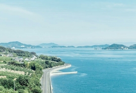 海面雷霆聚江心瀑布横描写的是什么草(海面雷霆聚 江心瀑布横是谁写的)