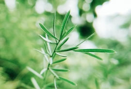 认蒸你就熟了个性网名(吃货幽默网名女生适合吃货的可爱网名)